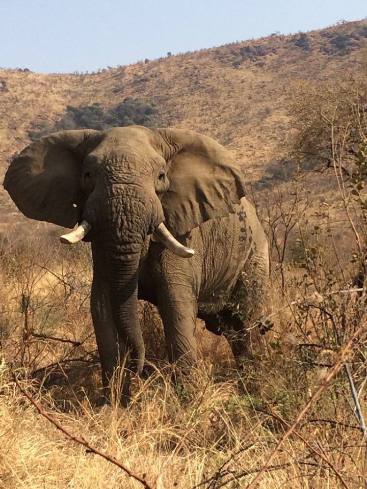 grupo Africa do Sul 4.jpg